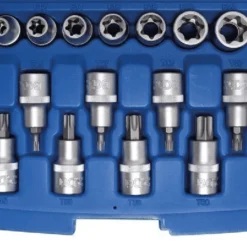 BGS Bit-Einsatz-/Steckschlüssel-Einsatz-Satz | 12,5 Mm (1/2") | E-Profil / T-Profil (für Torx) | 19-tlg. – 5100