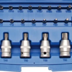 BGS Bit- Und Bit-Einsatz-Satz | 12,5 Mm (1/2") | T-Profil (für Torx) | 27-tlg. – 5101