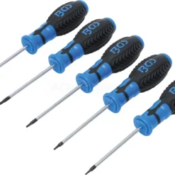 BGS Schraubendreher-Satz | T-Profil (für Torx) | T6 - T10 | 5-tlg. – 6828