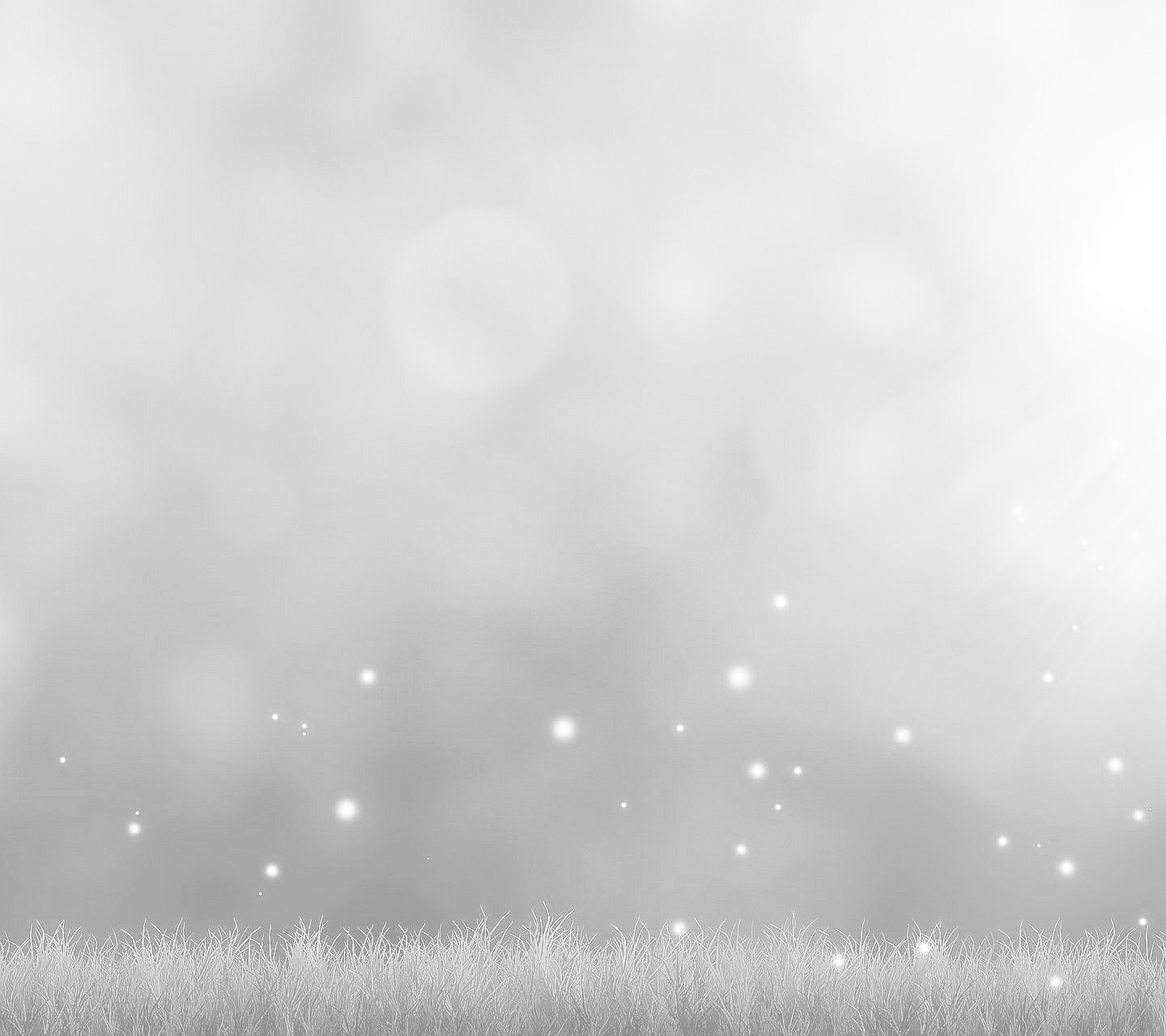 Angebote Kraft Zuhause Store -Angebote Kraft Zuhause Store sunlight nature grass field insect green 360289 wallhere.com2